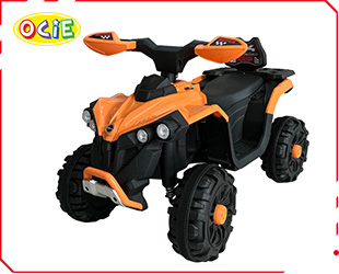 RECHARGEABLE ATV