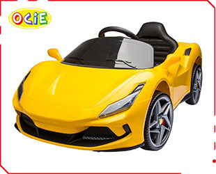 RECHARGEABLE CAR W/RC