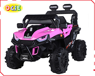 RECHARGEABLE R/C