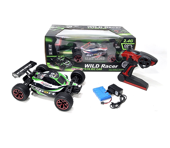 2.4G R/C CAR