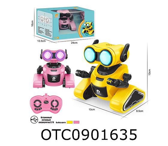 INTELLIGENT ROBOT