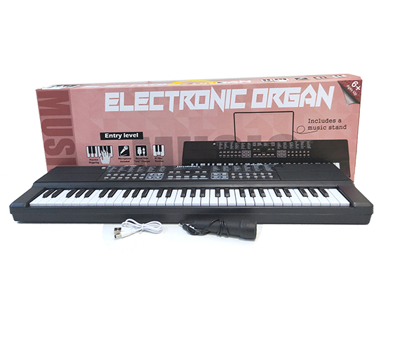 ELECTRONIC ORGAN