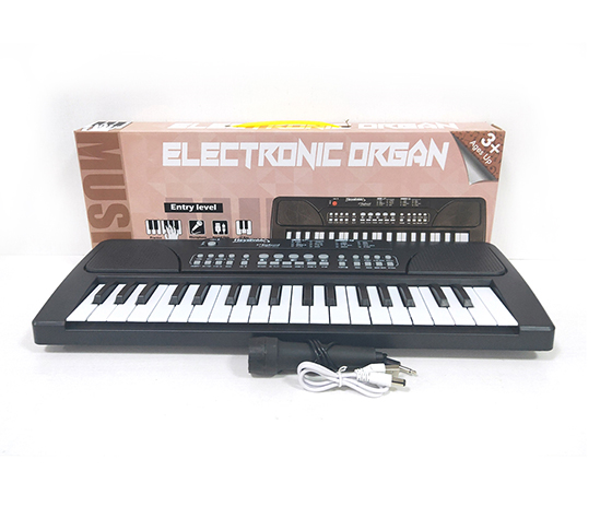 ELECTRONIC ORGAN