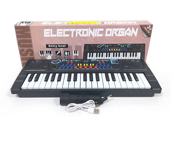 ELECTRONIC ORGAN