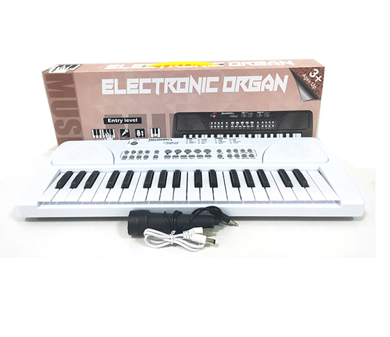 ELECTRONIC ORGAN