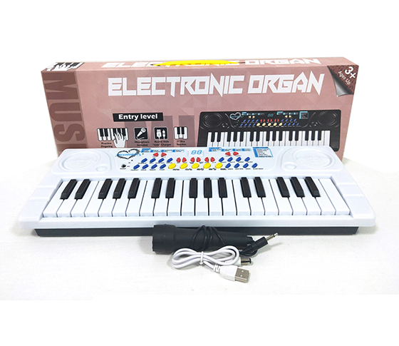 ELECTRONIC ORGAN