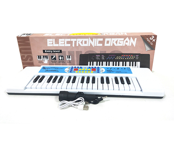 ELECTRONIC ORGAN