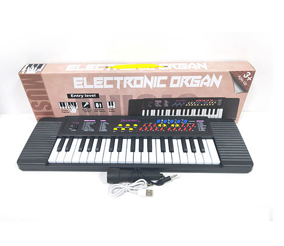 ELECTRONIC ORGAN