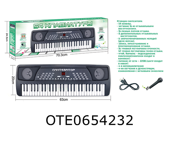 54 KEY ELECTRONIC ORGAN