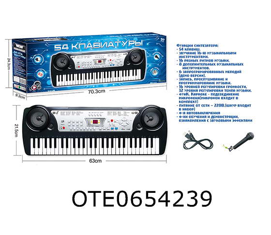 RUSSIAN 54 KEY ELECTRONIC ORGAN+MICROPHONE