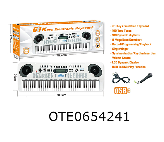 61 KEY ELECTRONIC ORGAN