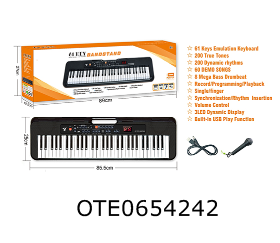 61 KEY ELECTRONIC ORGAN