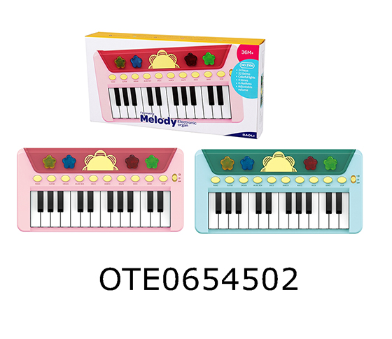 ELECTRONIC ORGAN