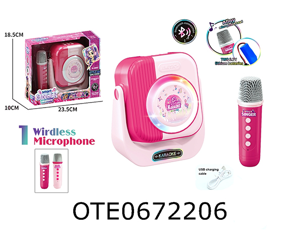 MICROPHONE SPEAKER