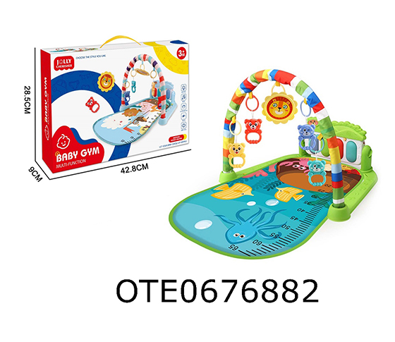 BABY PLAY GYM MAT 