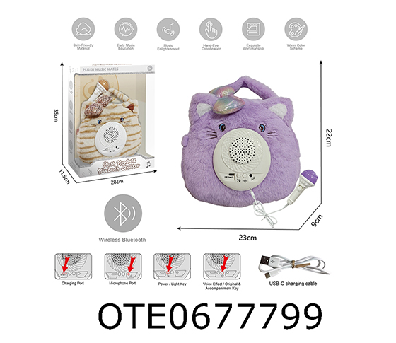 KARAOKE SET