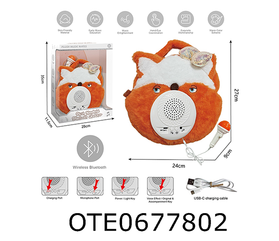 KARAOKE SET