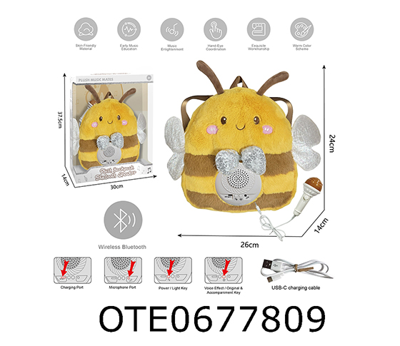KARAOKE SET