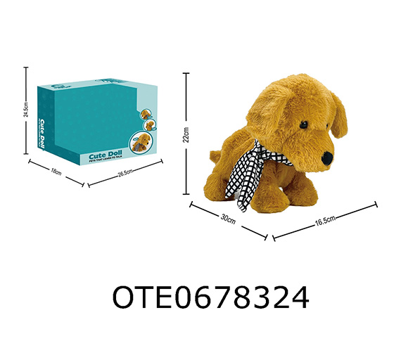 VOICE COMMANDS FOR PET