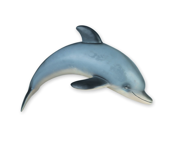 DOLPHIN