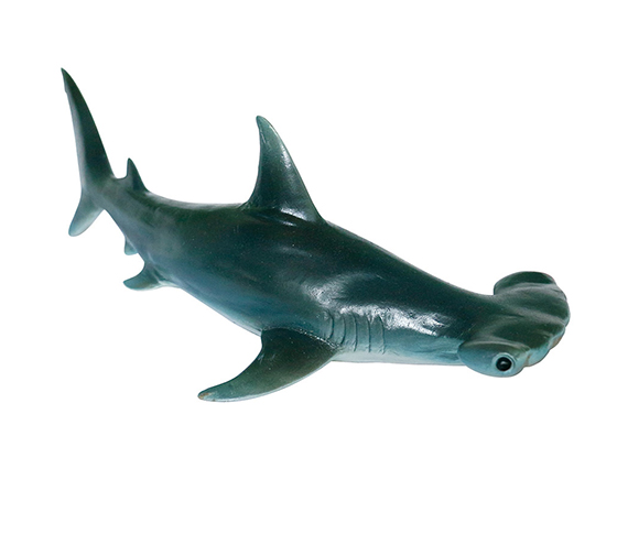 HAMMERHEAD SHARK