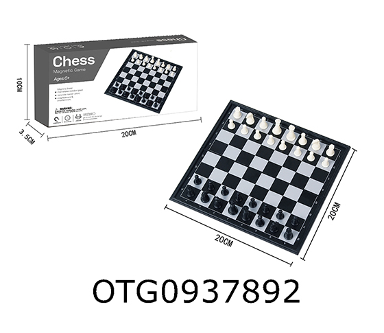 MAGNETIC CHESS