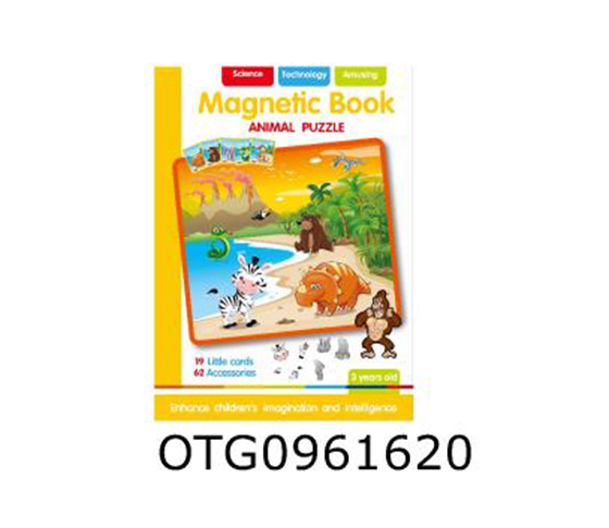 MAGNETIC BOOK