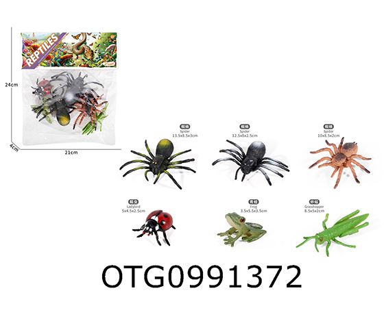 INSECT