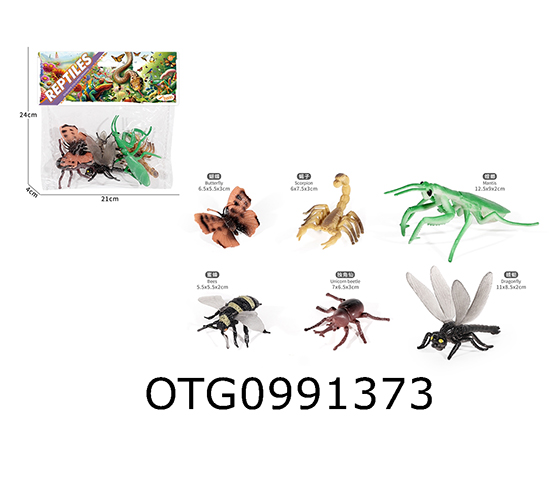 INSECT