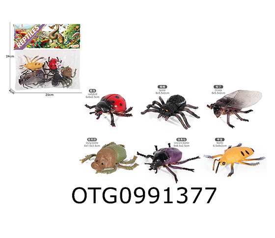 INSECT