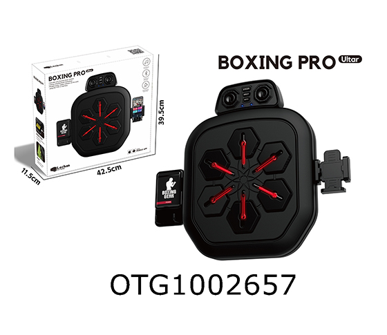 BOXING TARGET 