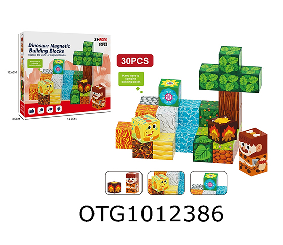 MAGNETIC BLOCK PUZZLE 