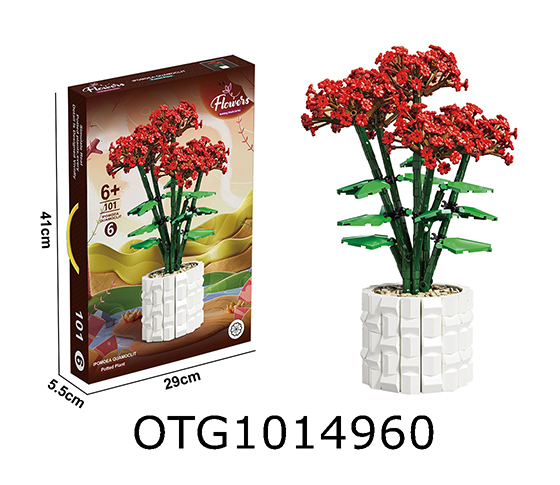 BLOCKS