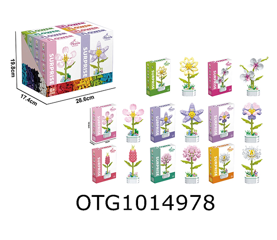 BLOCKS
