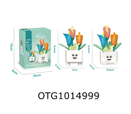 BLOCKS