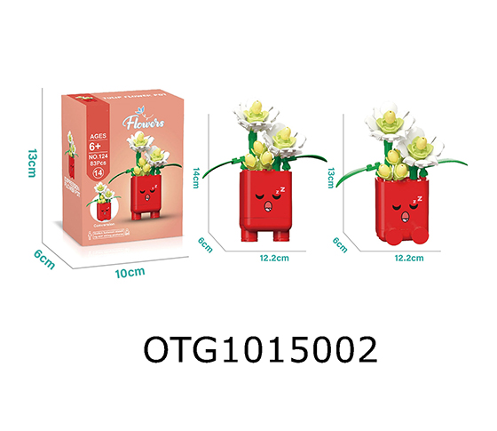 BLOCKS
