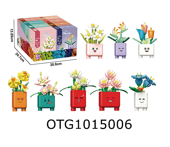 BLOCKS