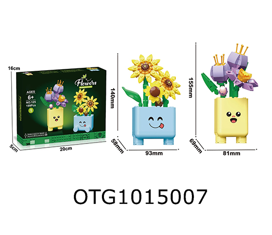 BLOCKS