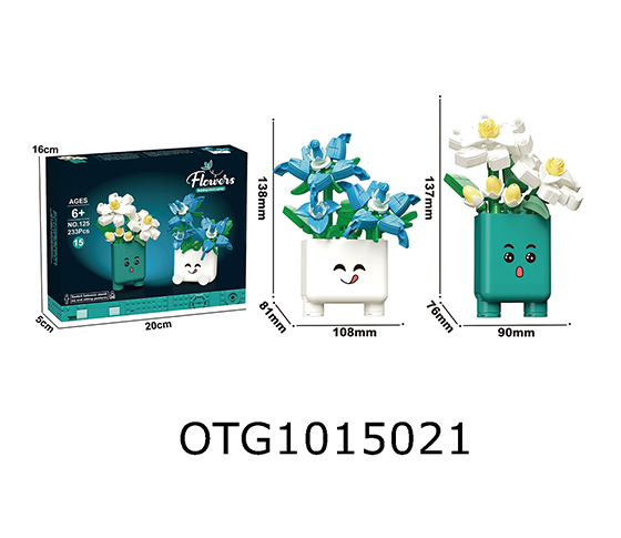 BLOCKS
