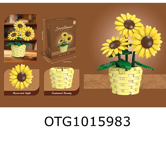 BLOCKS