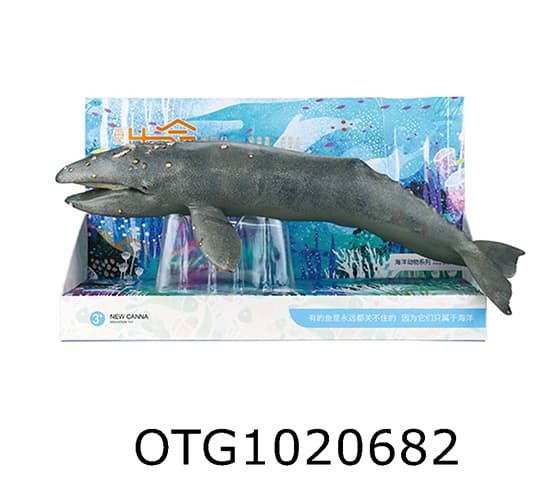 GRAY WHALE