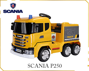 RECHARGEABLE TRUCK CRANE LICENSED